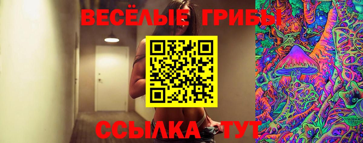 Пыть-Ях  Галлюциногенные грибы Psilocybine cubensis  Вход с VPN 